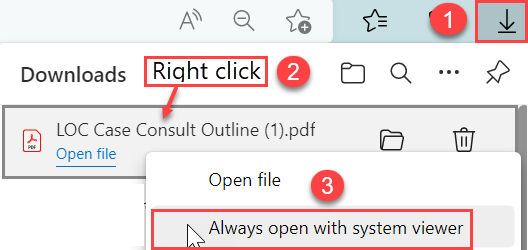 setting to open downloads with system viewer